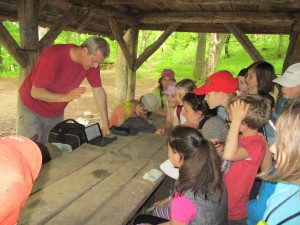 IMG_0316-b