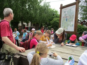 IMG_0214-b
