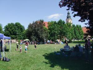 DSCF5213